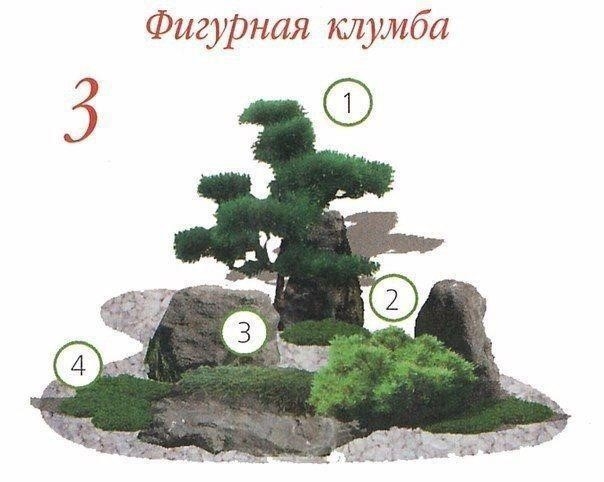 Клумбы с хвойными растениями Клумбы с хвойными растениями