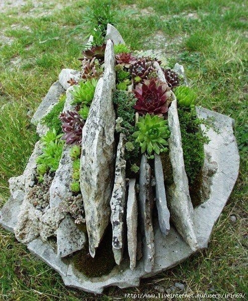 Волшебные суккуленты, идеи.