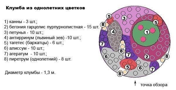 Клумба из однолетников 