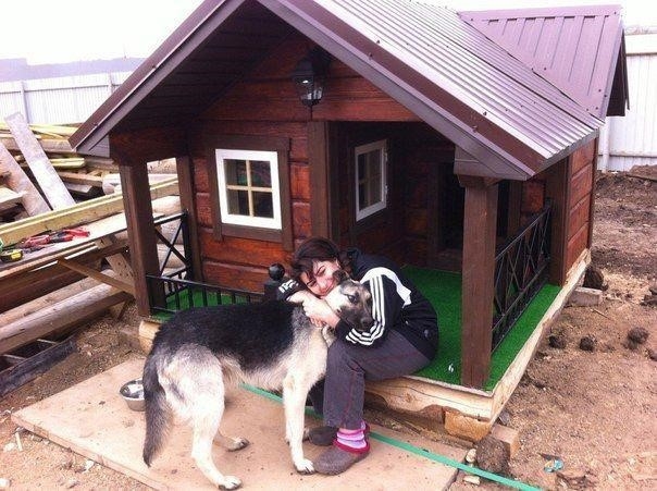 Домик для четвероногого друга