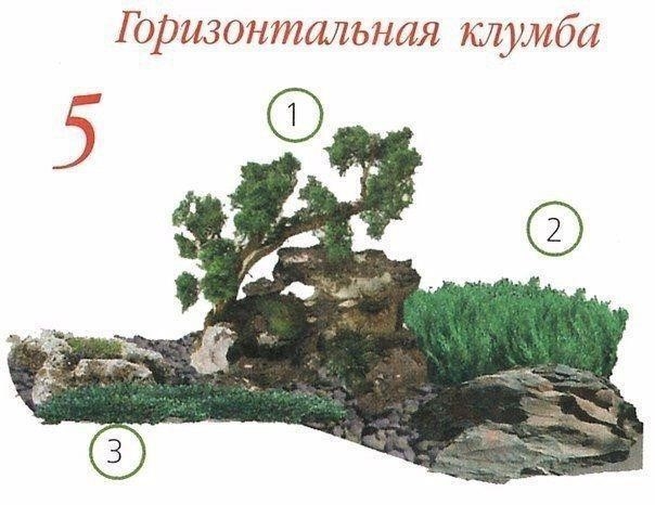 Клумбы с хвойными растениями Клумбы с хвойными растениями