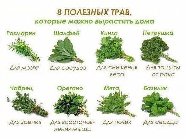 Если совсем по простому и о простых травах, то вот так!
