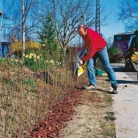 Делаем живую изгородь. Фото-мастер-класс Делаем живую изгородь. Фото-мастер-класс