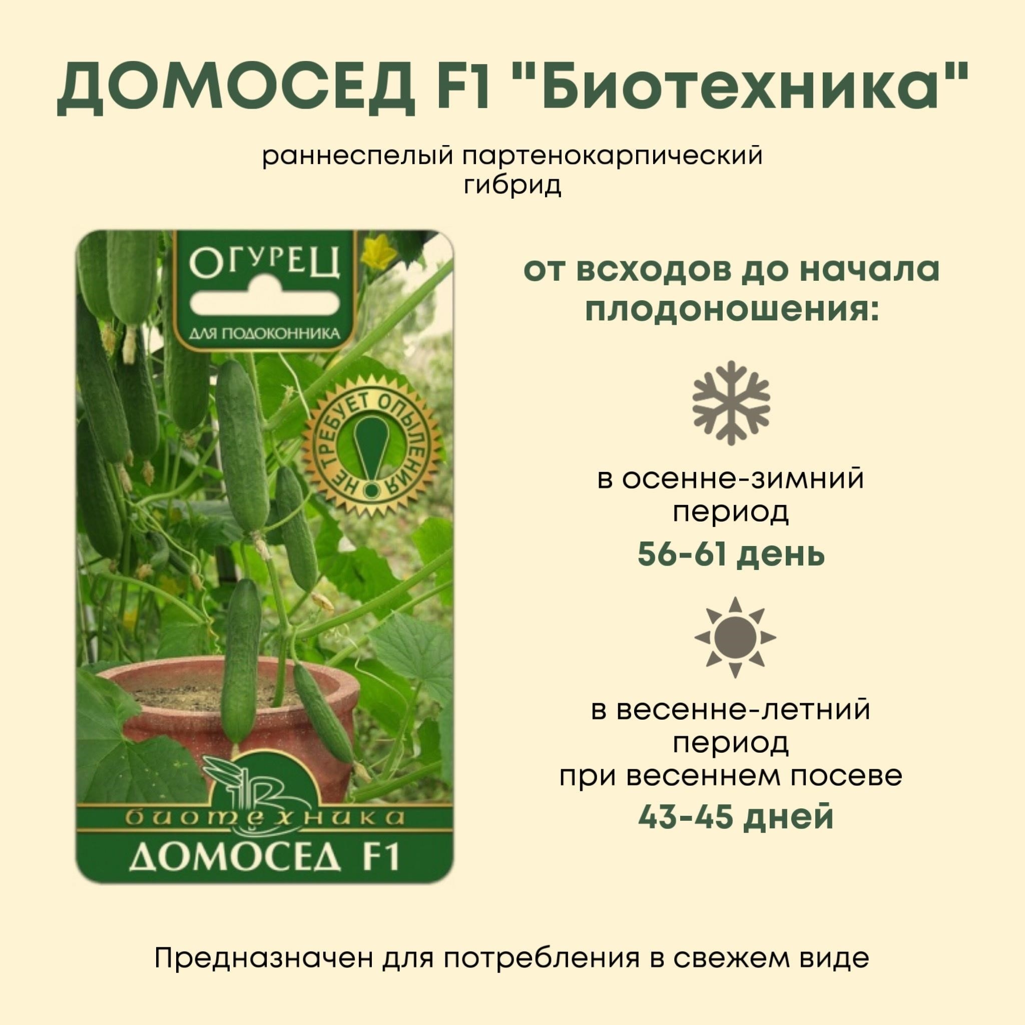 А вы знали, что выращивать овощи можно в квартире прямо на подоконнике?