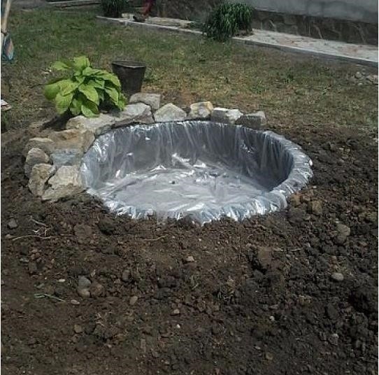 Пруд своими руками