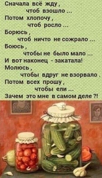 Так и есть! 👇🏻