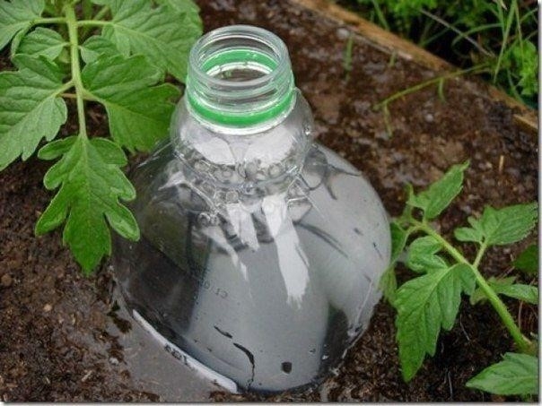 Точно по адресу 