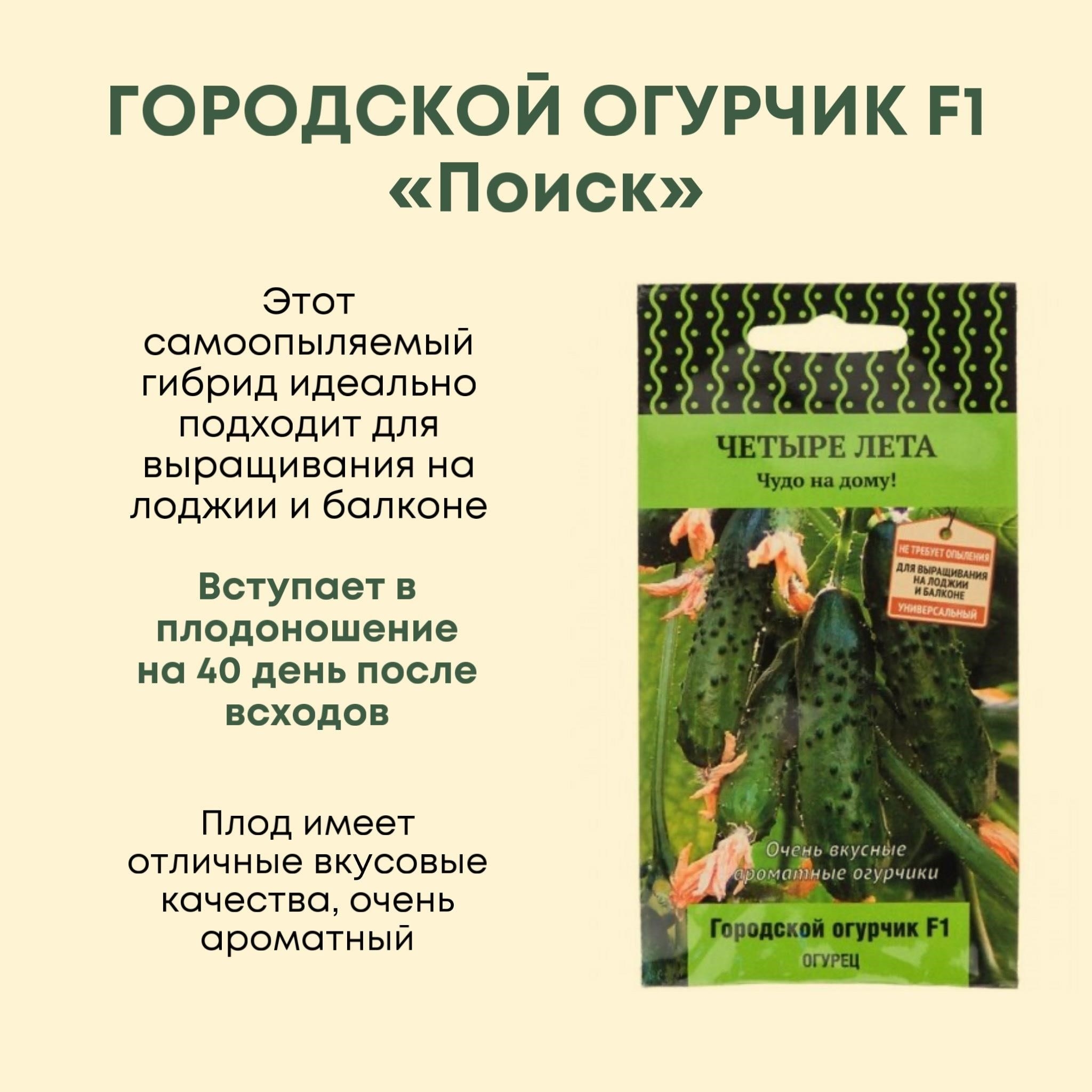 А вы знали, что выращивать овощи можно в квартире прямо на подоконнике?