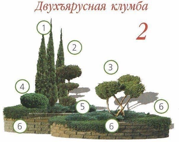 Клумбы с хвойными растениями Клумбы с хвойными растениями