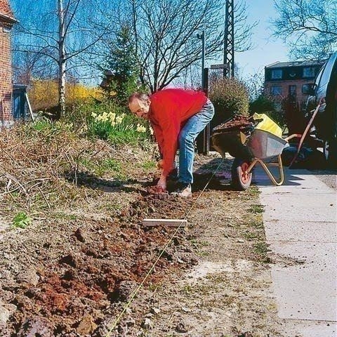Делаем живую изгородь. Фото-мастер-класс Делаем живую изгородь. Фото-мастер-класс