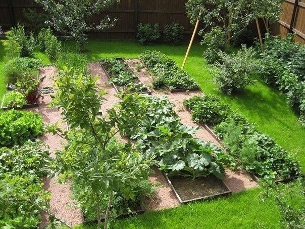Дрожжевые подкормки полезны для всех овощных культур, земляники, цветов. Отлично зарекомендовало себя применение дрожжевого раствора и в качестве внекорневой подкормки. Дрожжевые подкормки полезны для всех овощных культур, земляники, цветов. Отлично зарекомендовало себя применение дрожжевого раствора и в качестве внекорневой подкормки.